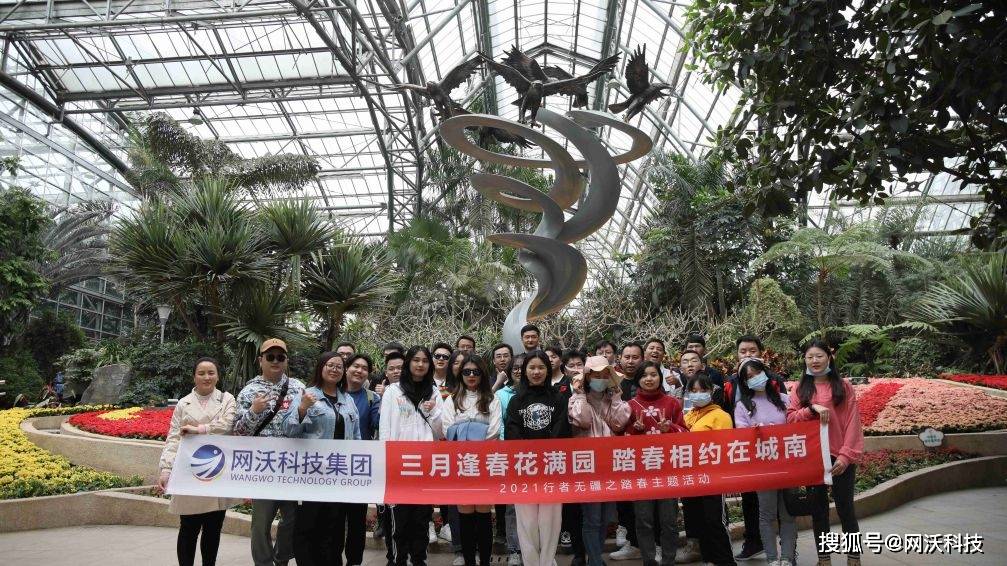 掌号选号网